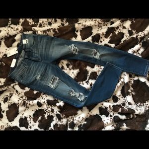 Judy Blue Jeans